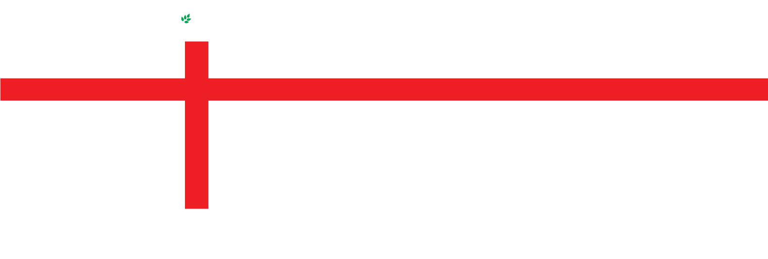 Nationlight Church